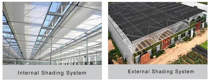 plastic cover for small greenhouse made in china