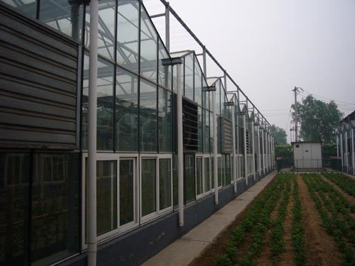 Which steel pipe materials are used in vegetable steel pipe greenhouses