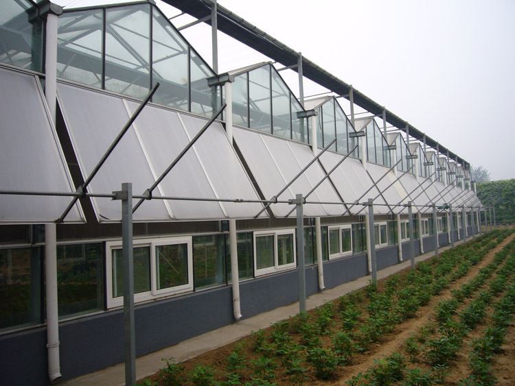 Glass Greenhouse