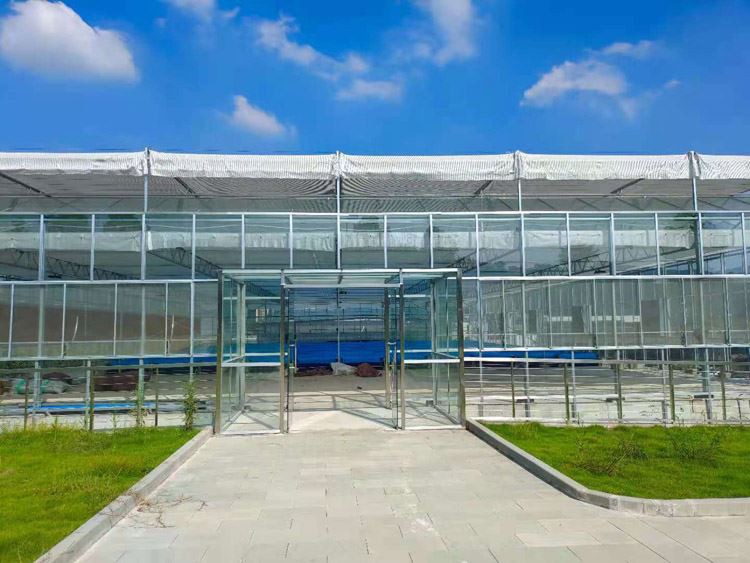 Precautions for post-maintenance and use of greenhouses Precautions for post-maintenance and use of greenhouses