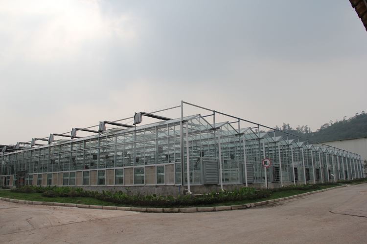 The construction of greenhouses should strictly control the air humidity