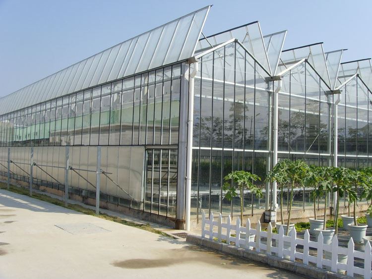 What is a multi-span greenhouse