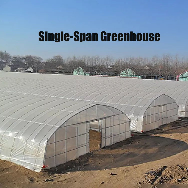 How to lay film in greenhouse construction to hinder the growth of weeds How to lay film in greenhouse construction to hinder the growth of weeds