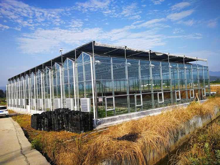 Greenhouse