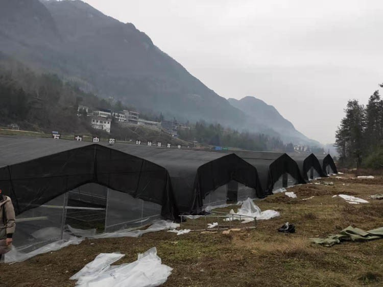 Nutrient soil disinfection method for seedbed making Nutrient soil disinfection method for seedbed making