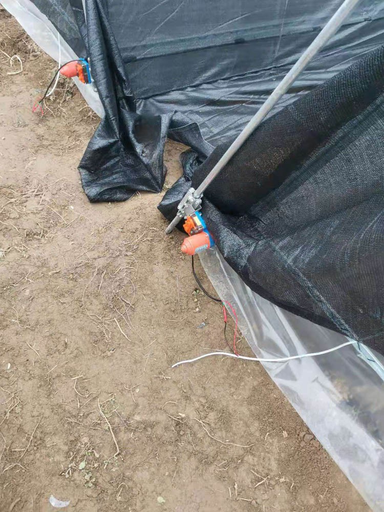 Mushroom Greenhouse Mushroom Greenhouse