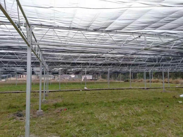 Greenhouse Greenhouse
