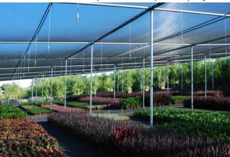 Explain one-under the relevant knowledge of greenhouse seedbed Explain one-under the relevant knowledge of greenhouse seedbed