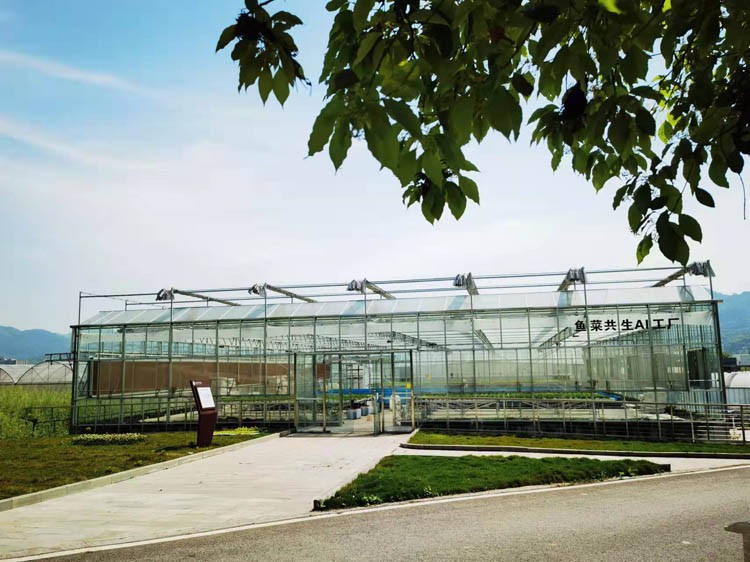 Precautions for the strength of the wall in the construction of vegetable greenhouses