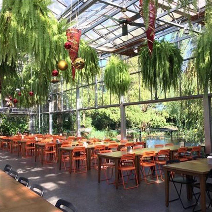 greenhouse cafe factory